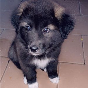 Meet your Posher, Rosario